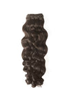 Burmese Natural Curly - Pretty Popular